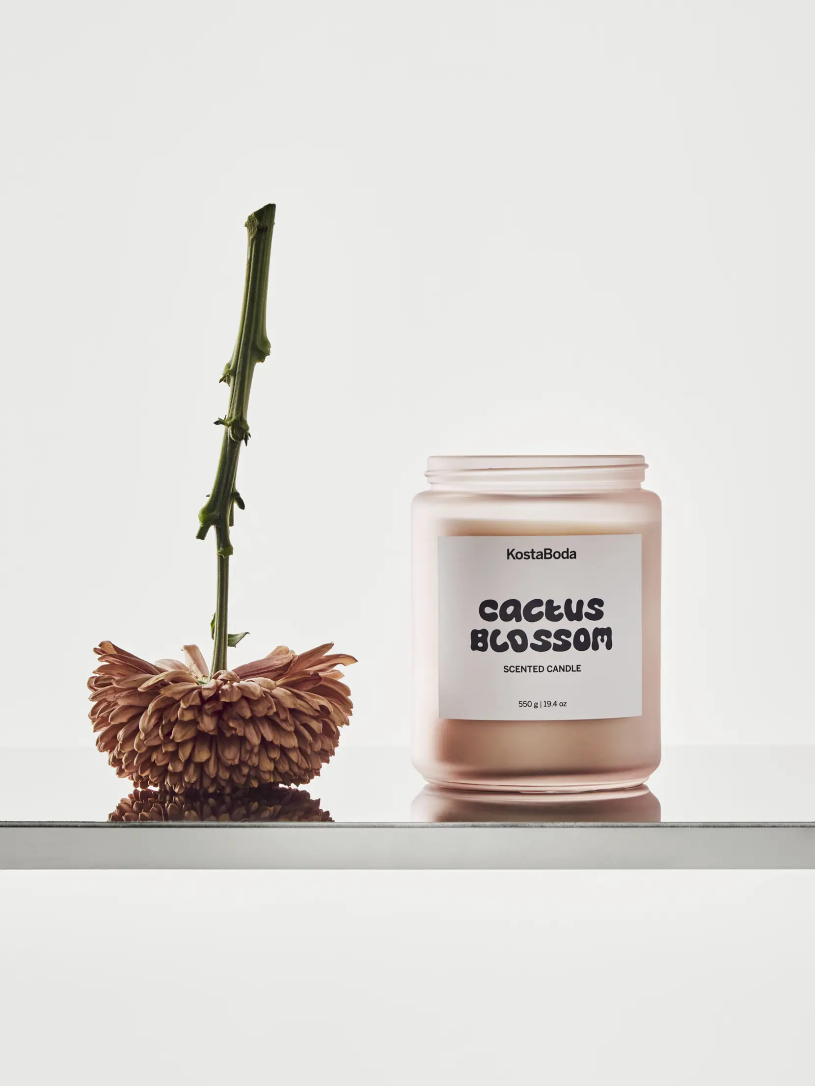 Bild på Mind doftljus 550gr Cactus Blossom Bild på Mind doftljus 550gr Cactus Blossom
