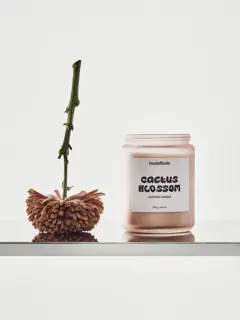 Bild på Mind doftljus 550gr Cactus Blossom