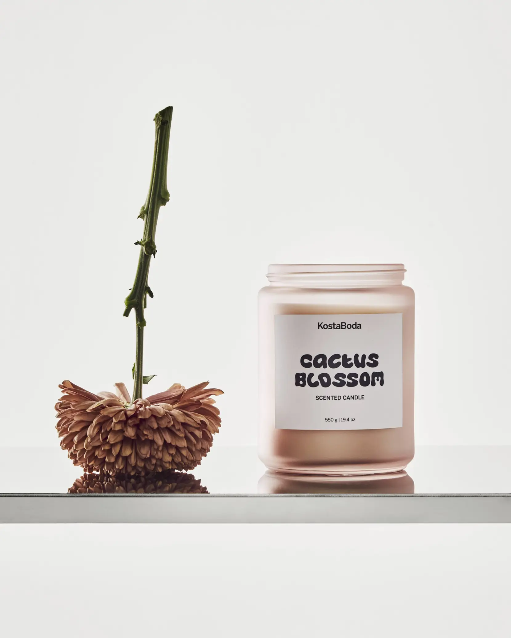 Bild på Mind doftljus 550gr Cactus Blossom Bild på Mind doftljus 550gr Cactus Blossom