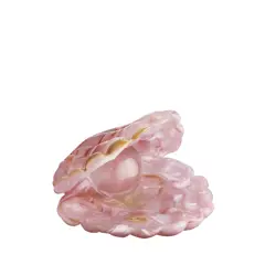 Bild på Mother of Pearl rosa, ÅJ AC-24