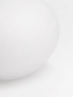 Bild på Anemon satin EA 5