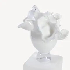 Bild på Anemon velvet EA 5