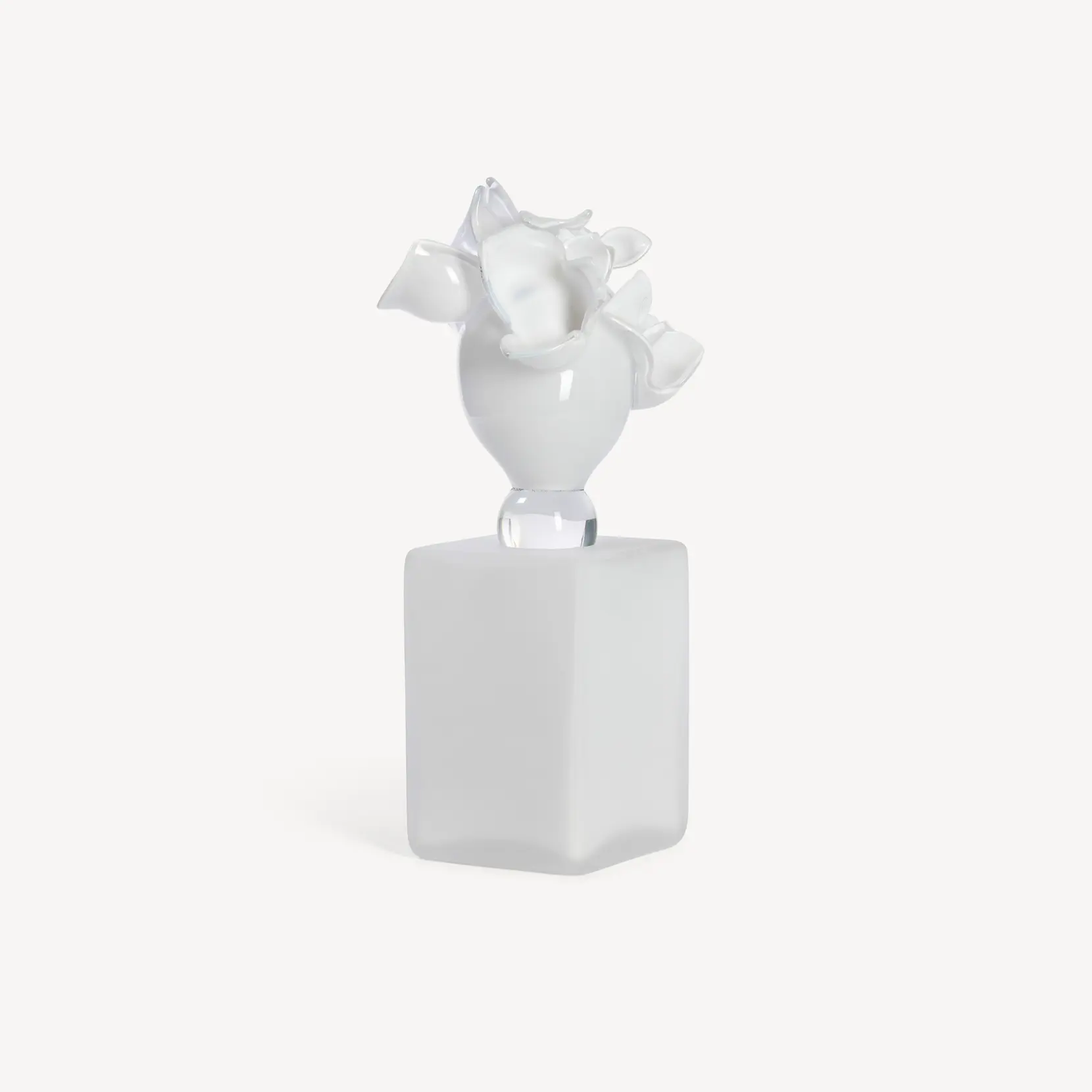 Bild på Anemon velvet EA 5 Bild på Anemon velvet EA 5