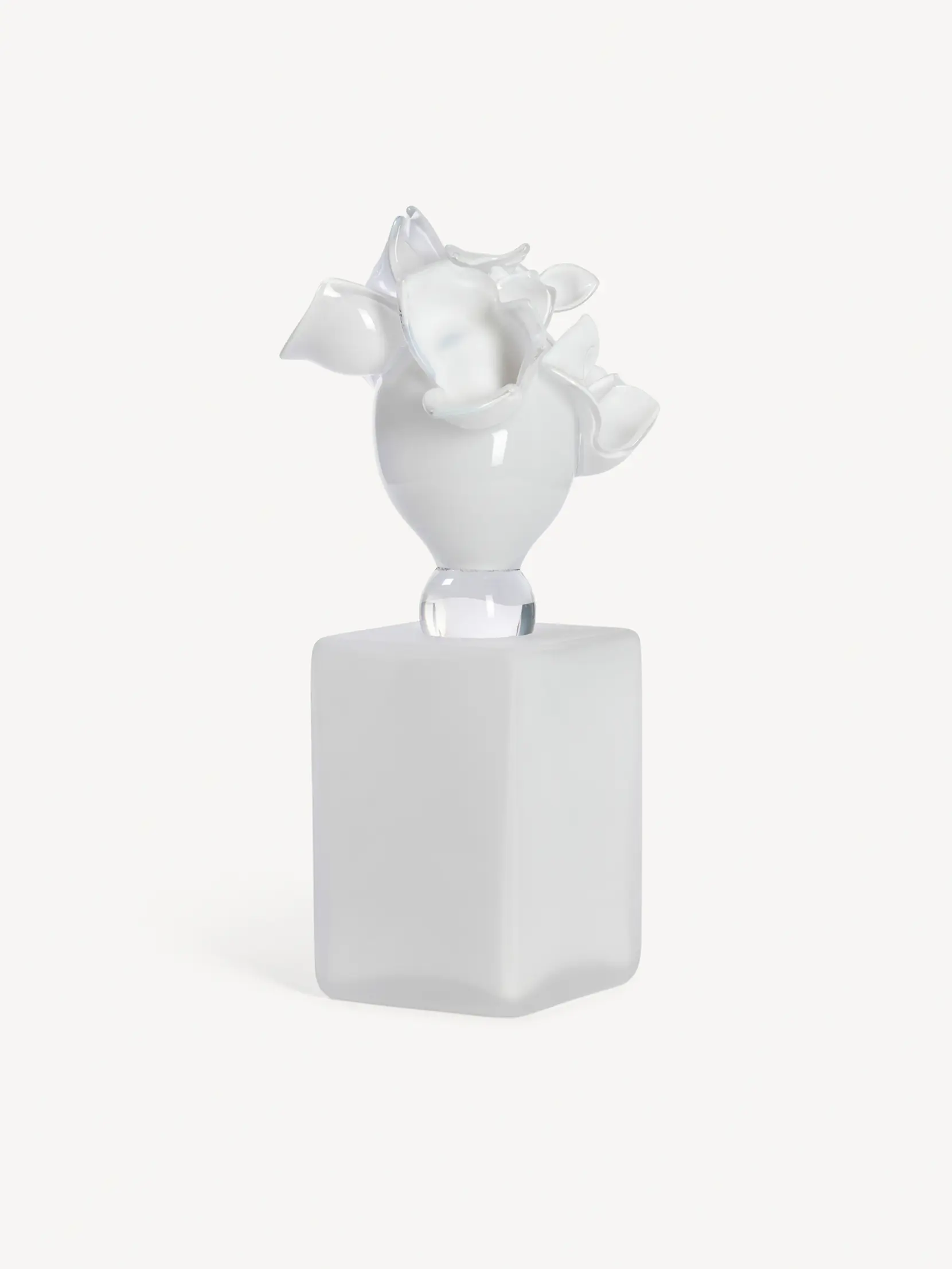 Bild på Anemon velvet EA 5 Bild på Anemon velvet EA 5
