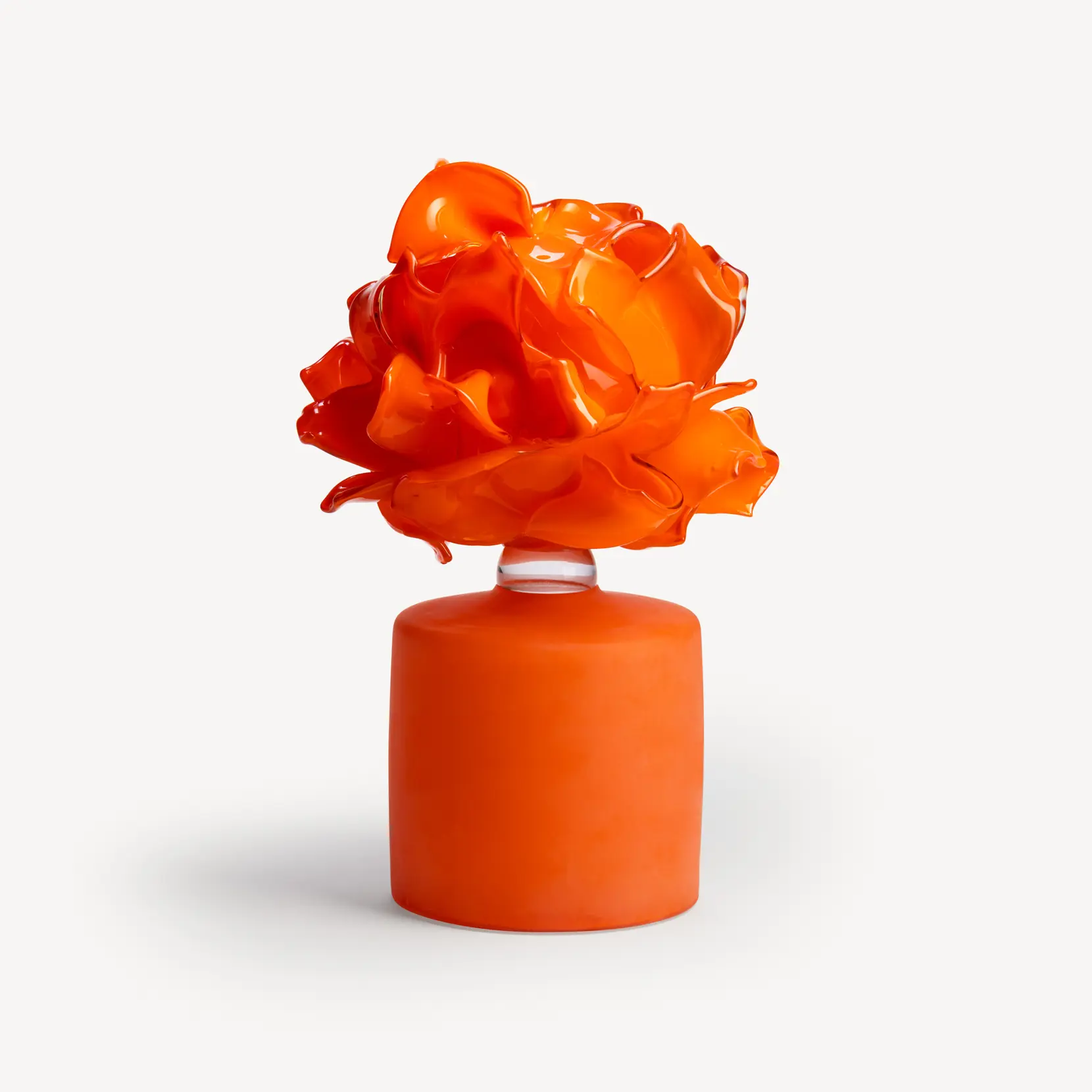 Bild på Anemone orange EA 5 Bild på Anemone orange EA 5