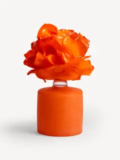Bild på Anemone orange EA 5
