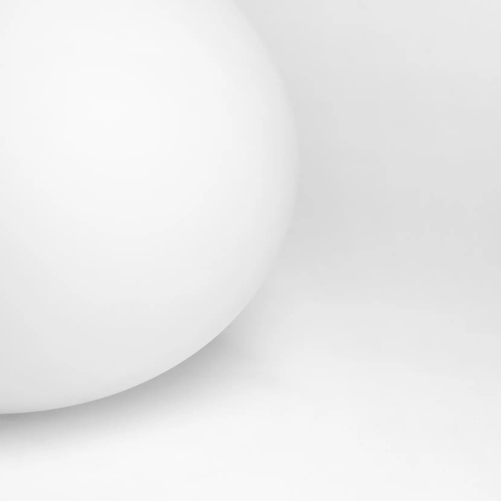 Bild på Anemon vit stor UN Bild på Anemon vit stor UN