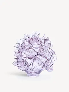 Bild på Anemon rosa EA 5