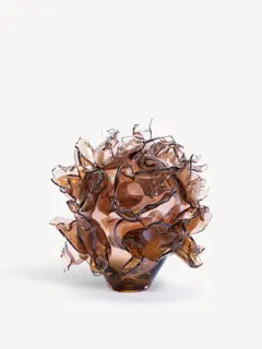 Bild på Anemone bärnsten EA 5