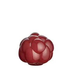 Bild på Berry Tales rubin, EEÅ AC-21