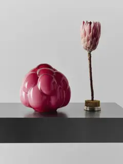 Bild på Berry Tales blush EEÅ AC-25