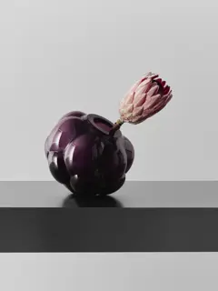 Bild på Berry Tales plum EEÅ AC-25