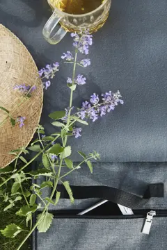 Bild på Picknick Juni tillbringare