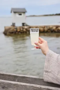 Bild på Picknick Juni glas hög, 4-pack