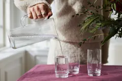 Bild på Saga tumbler hög, 2-pack