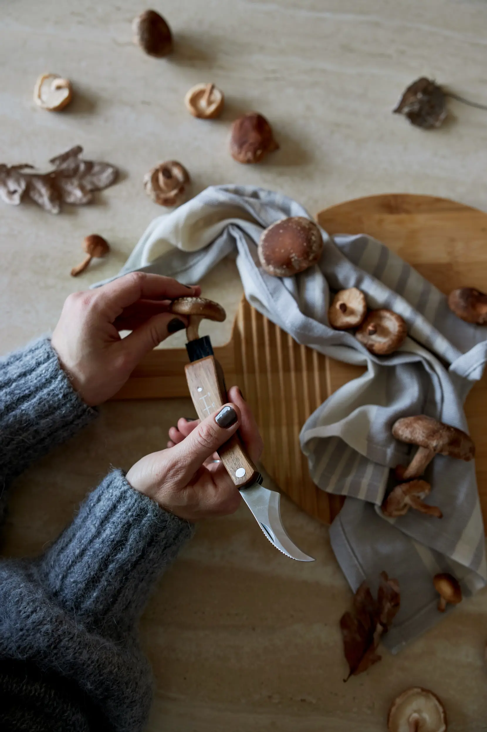 Bild på Karl-Johan väska med svampkniv Bild på Karl-Johan väska med svampkniv