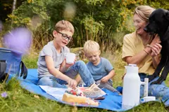 Bild på City picknickpläd rPET