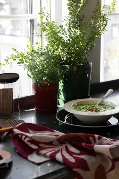 Bild på Elise kruka liten