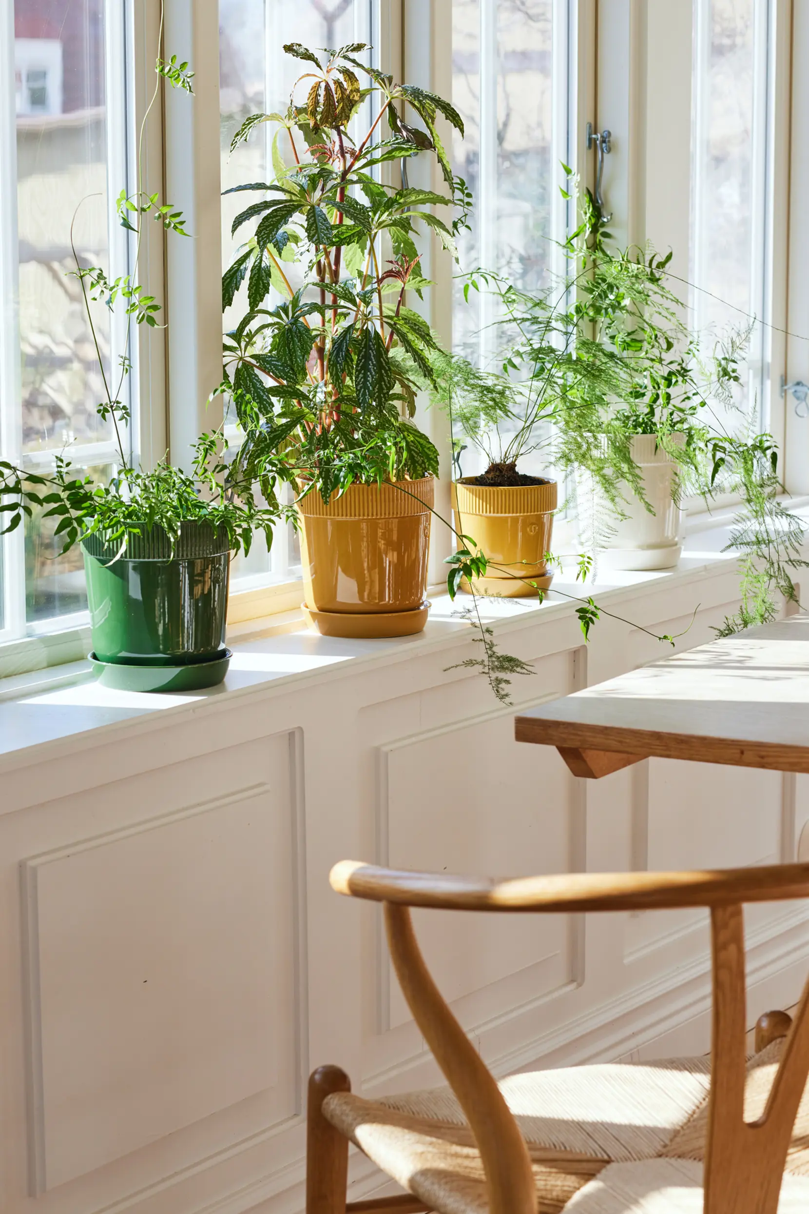 Bild på Elise kruka liten Bild på Elise kruka liten