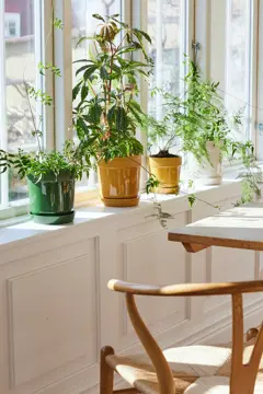 Bild på Elise kruka liten