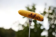 Bild på Fredde korvgaffel