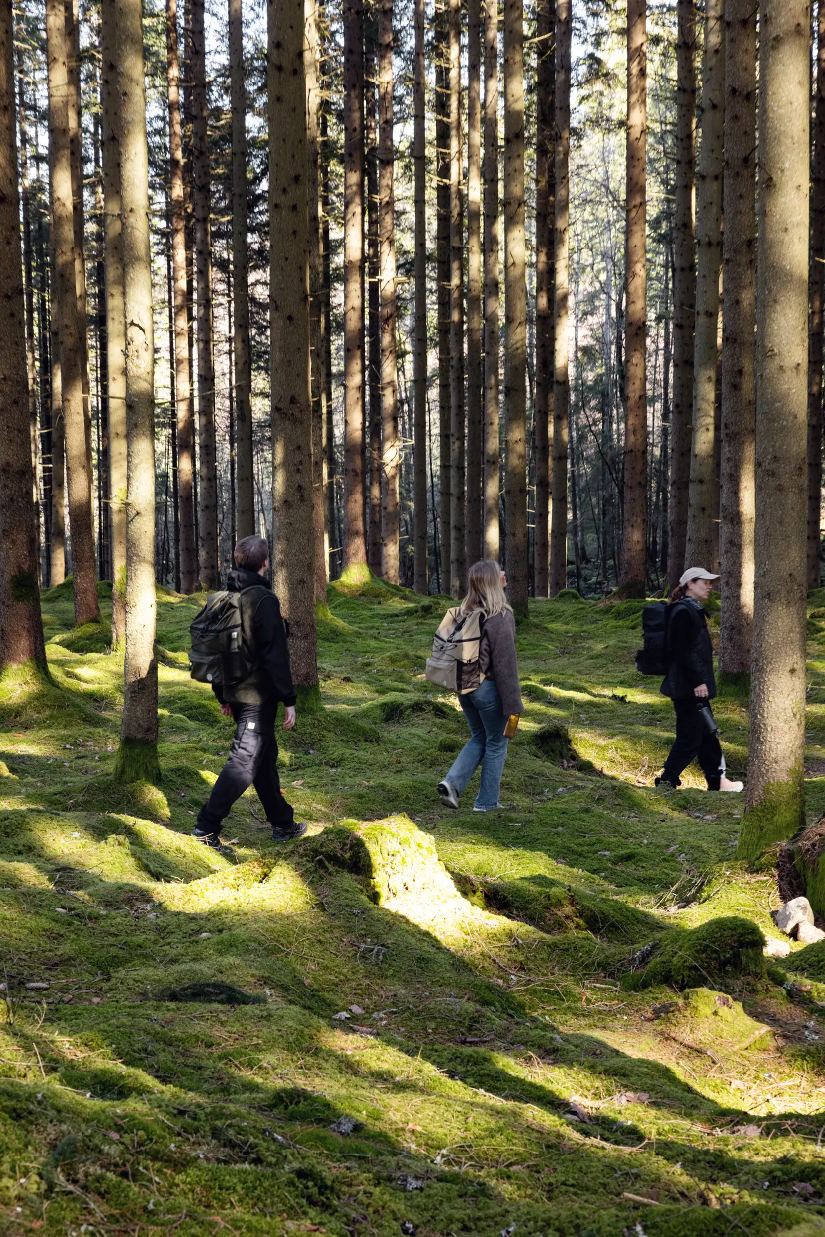 Bild på Vide kylryggsäck Bild på Vide kylryggsäck