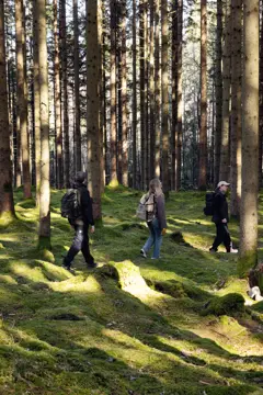 Bild på Vide kylryggsäck