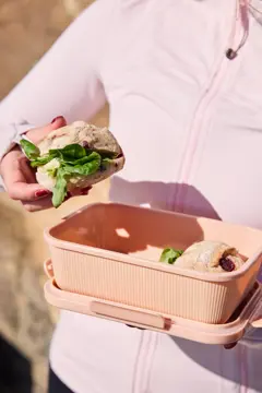 Bild på Tina matlåda