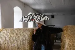 Bild på Paraply Anima