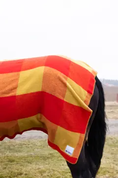 Bild på Filt Embrace