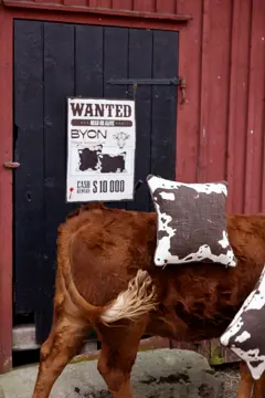 Bild på Kudde Anima cow M