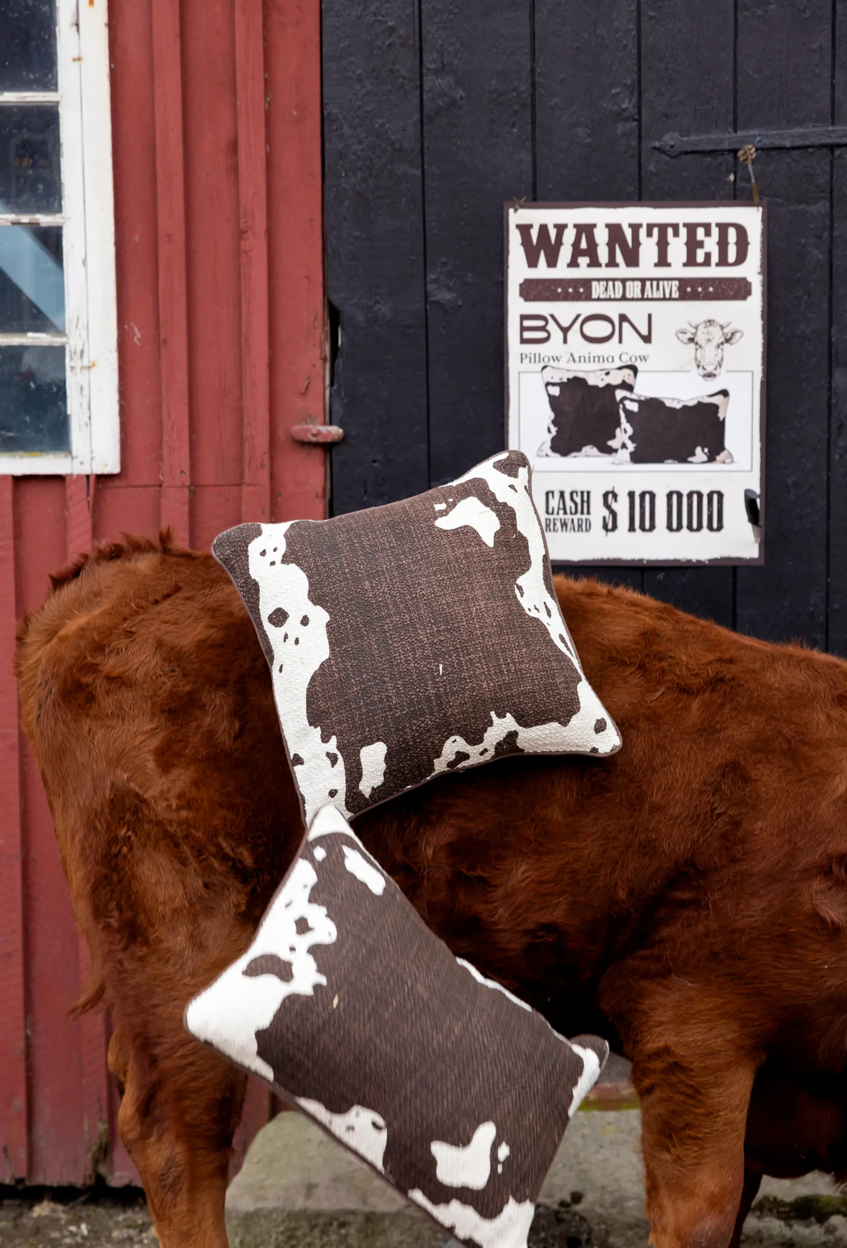 Bild på Kudde Anima cow M Bild på Kudde Anima cow M