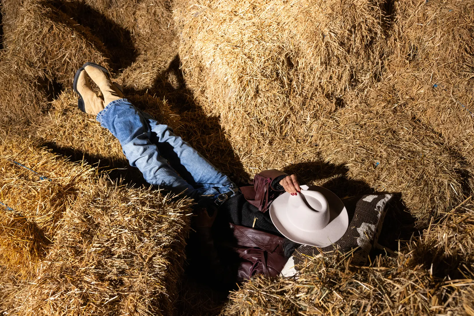 Bild på Kudde Anima cow L Bild på Kudde Anima cow L