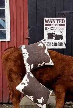 Bild på Kudde Anima cow L