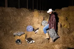 Bild på Kudde Anima cow L