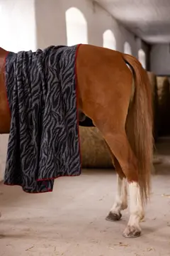 Bild på Filt Anima zebra