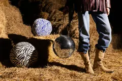 Bild på Kudde Anima zebra rund