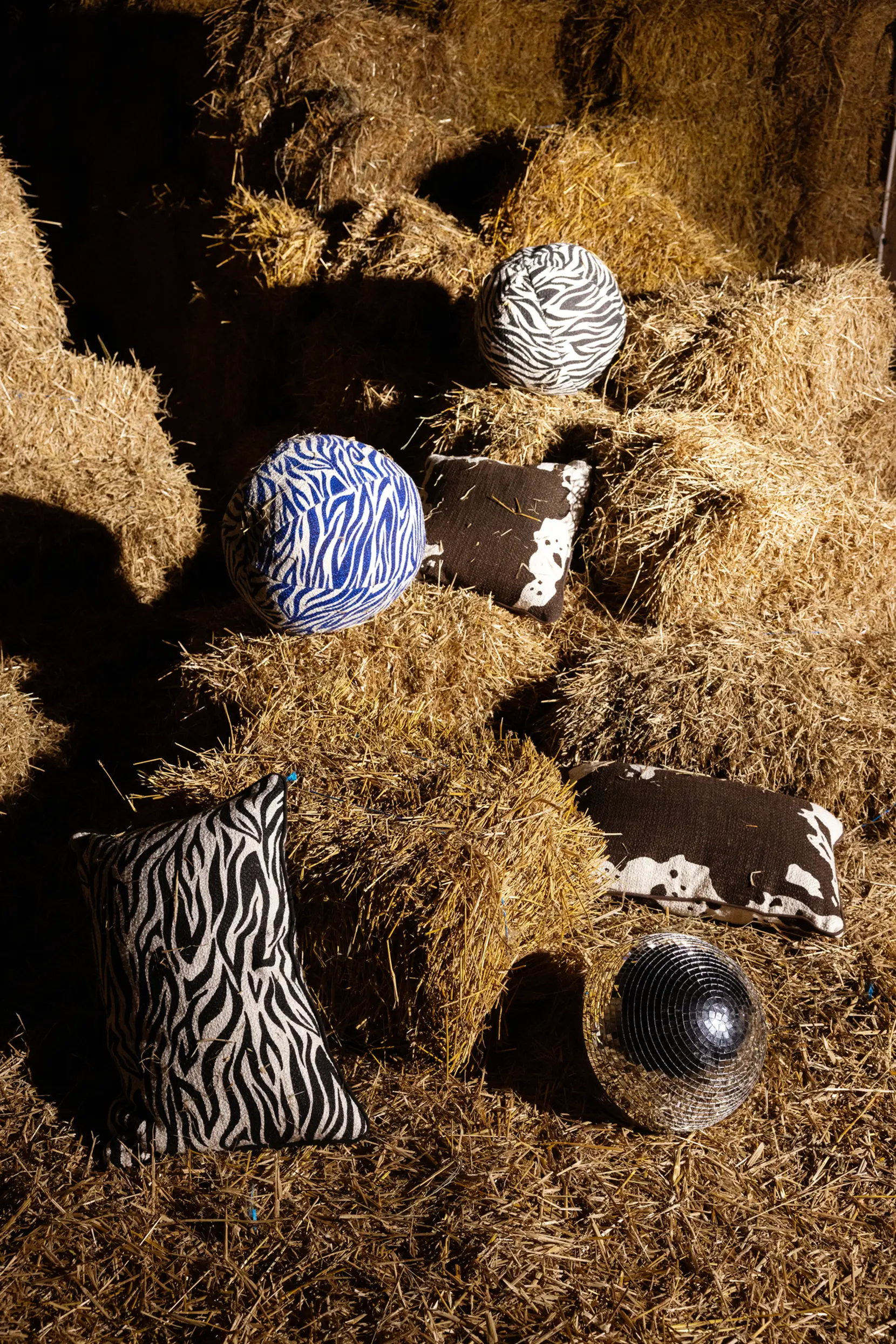 Bild på Kudde Anima zebra rund Bild på Kudde Anima zebra rund