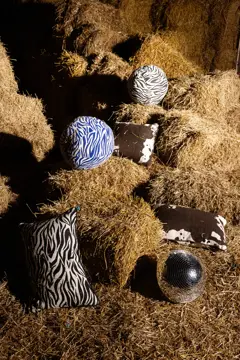 Bild på Kudde Anima zebra rund