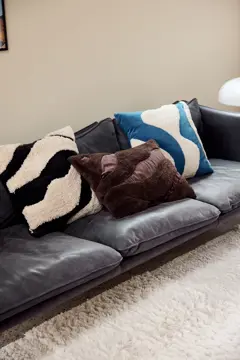 Bild på Kudde Fluffy