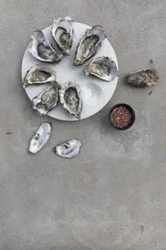 Bild på Serveringsfat Oyster