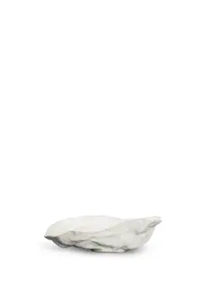 Bild på Skål Oyster