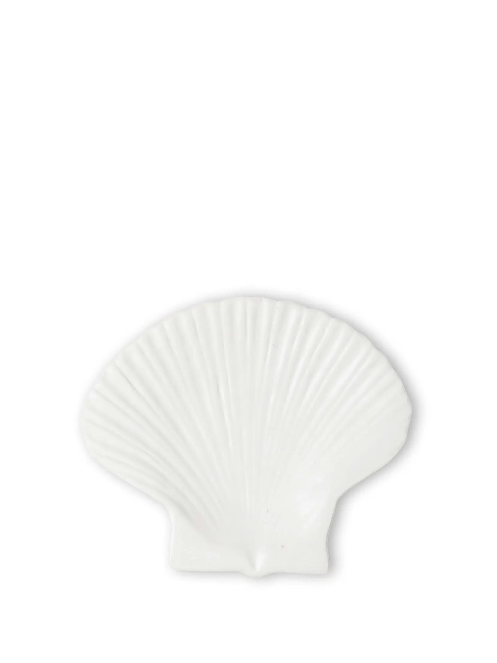 Bild på Assiett Shell M Bild på Assiett Shell M