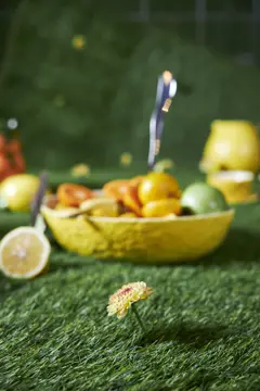 Bild på Skål Lemon L
