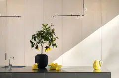 Bild på Kanna Lemon