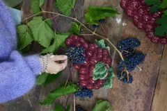 Bild på Fat Grape