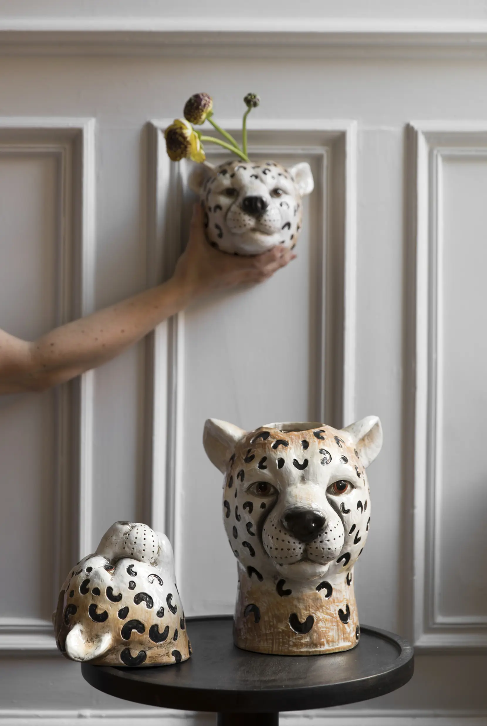 Bild på Vas Cheetah S Bild på Vas Cheetah S