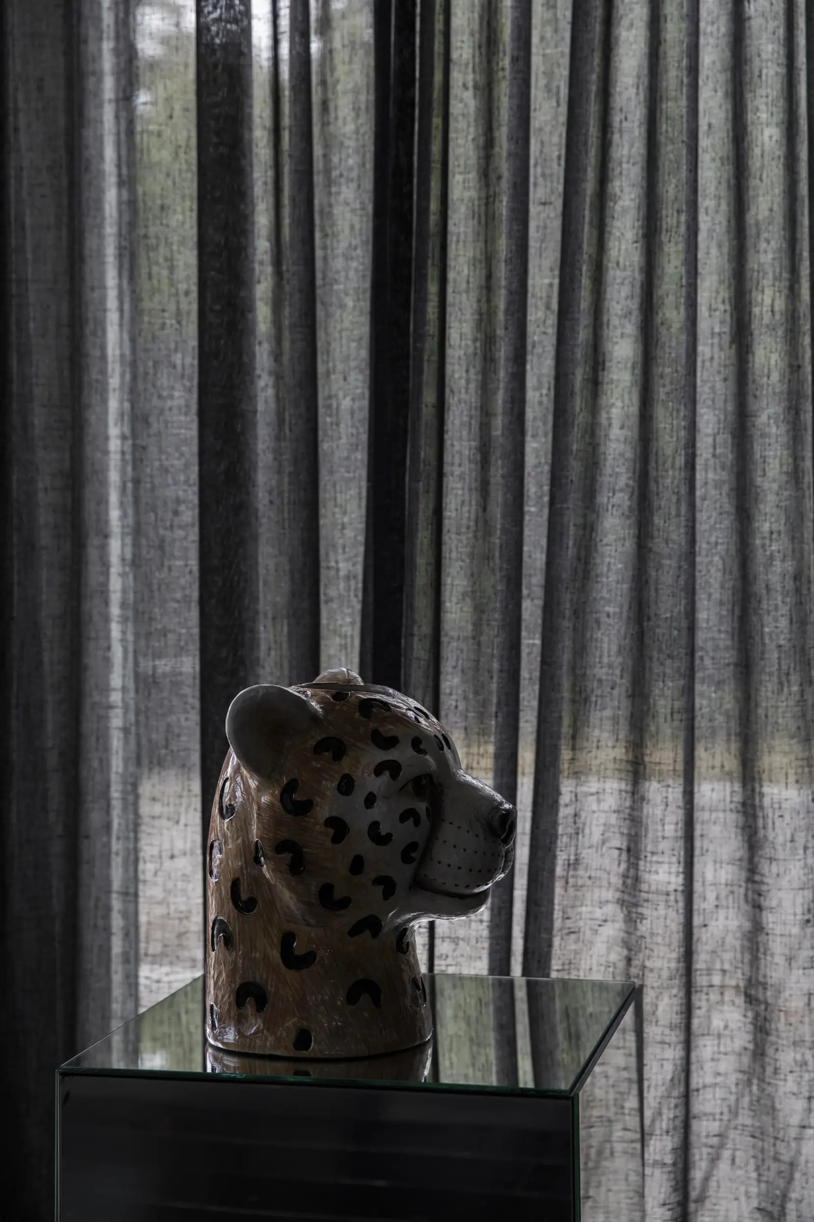 Bild på Vas Cheetah L