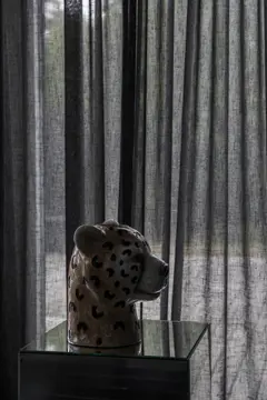 Bild på Vas Cheetah L