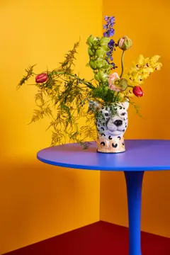 Bild på Vas Cheetah L
